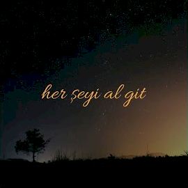 Her Şeyi Al Git albüm kapak resmi