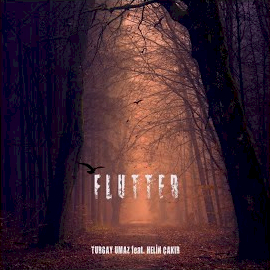 Flutter albüm kapak resmi